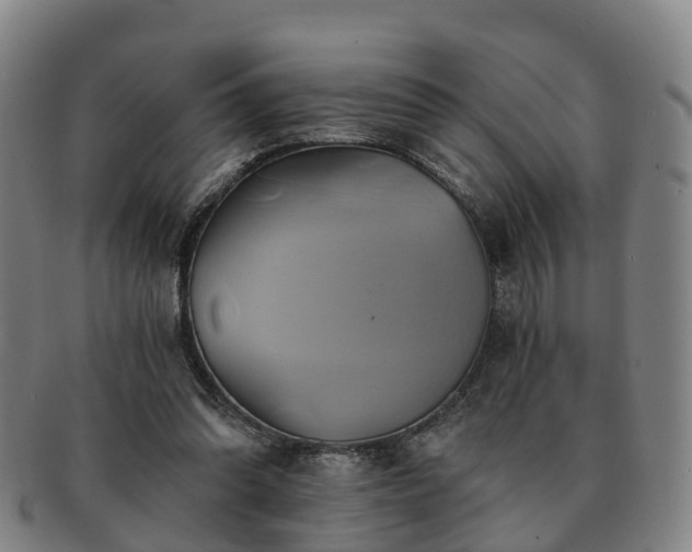 X0000091590302200708271249