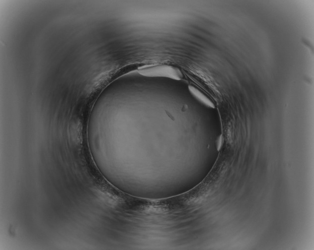 X0000091590303200708271249