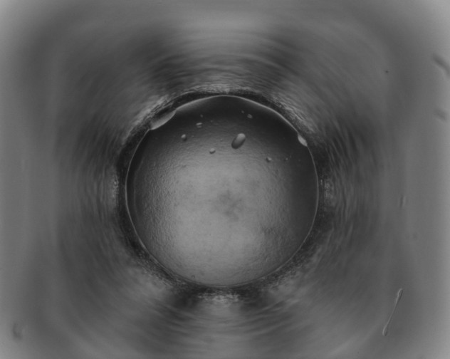 X0000091590304200708271249