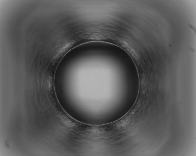 X0000091590305200708271249