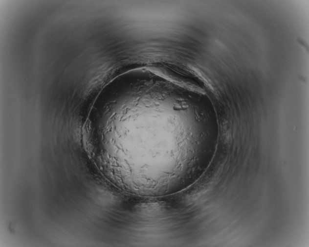X0000091590307200708271249