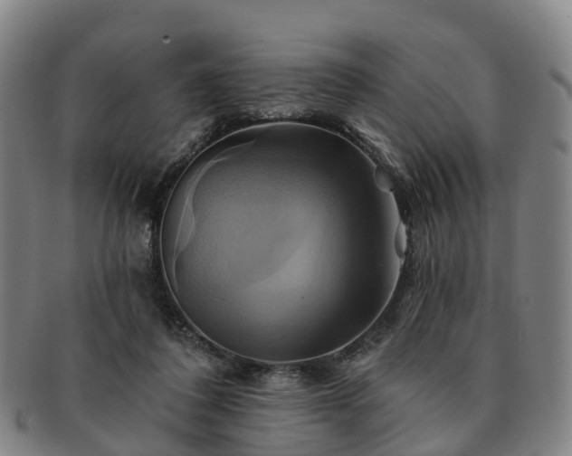 X0000091590308200708271249