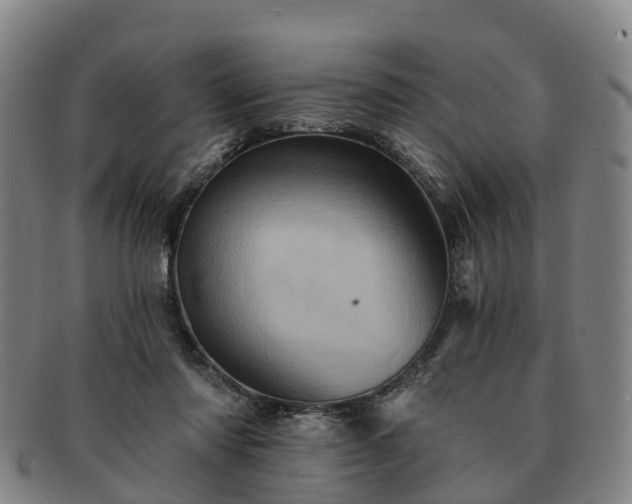 X0000091590310200708271249
