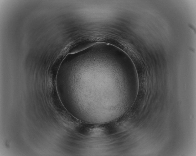 X0000091590312200708271249