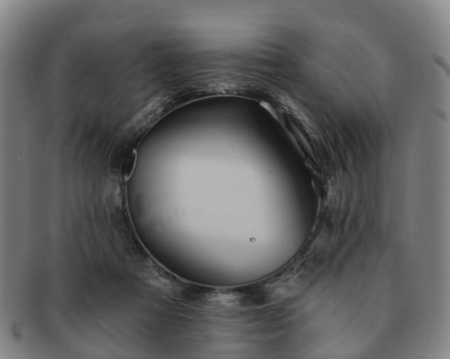 X0000091590313200708271249