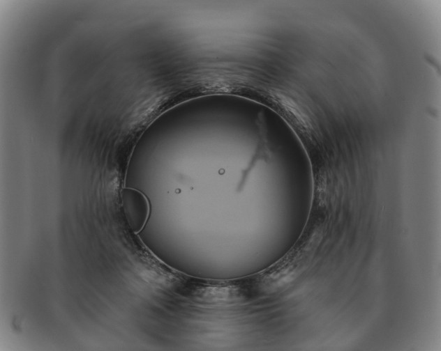 X0000091590314200708271249