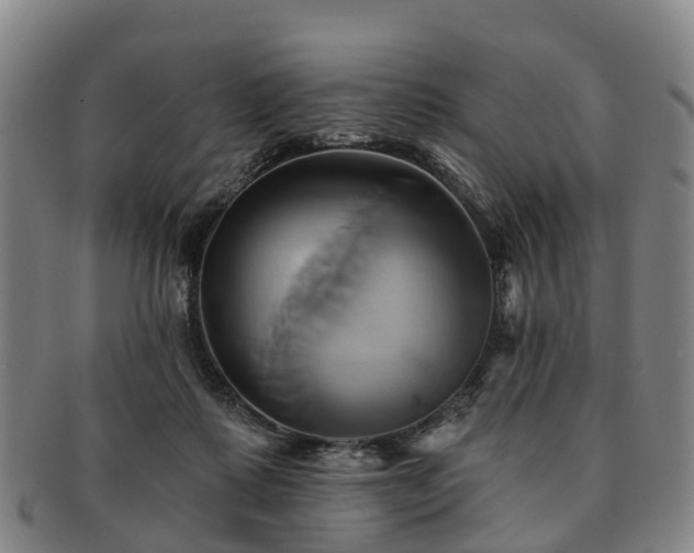 X0000091590315200708271249