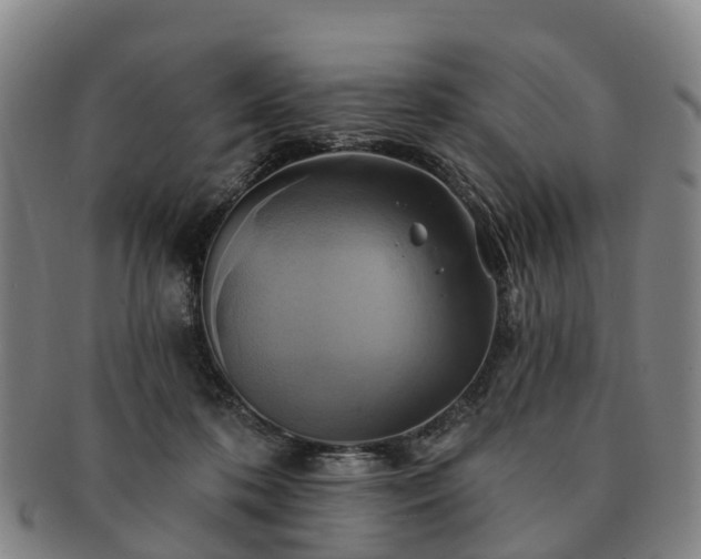 X0000091590316200708271249