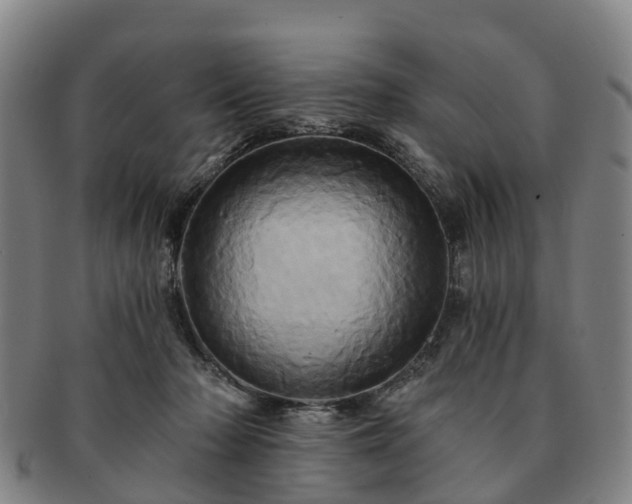 X0000091590318200708271249
