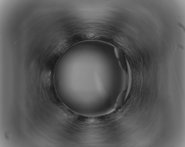 X0000091590319200708271249