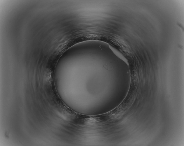 X0000091590320200708271249