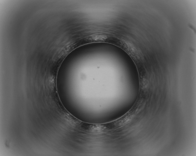 X0000091590321200708271249