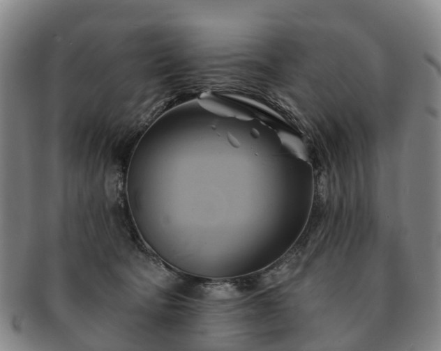 X0000091590322200708271249