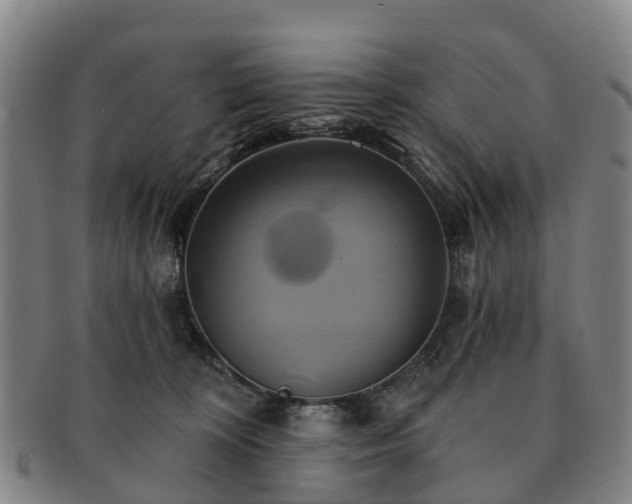 X0000091590324200708271249
