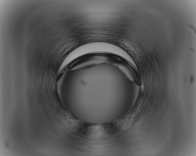 X0000091590325200708271249