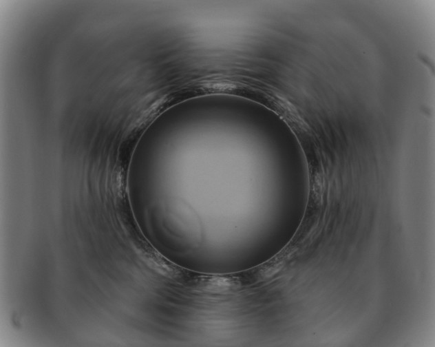 X0000091590330200708271249