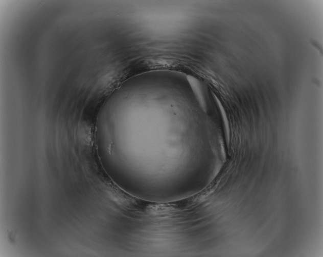 X0000091590331200708271249