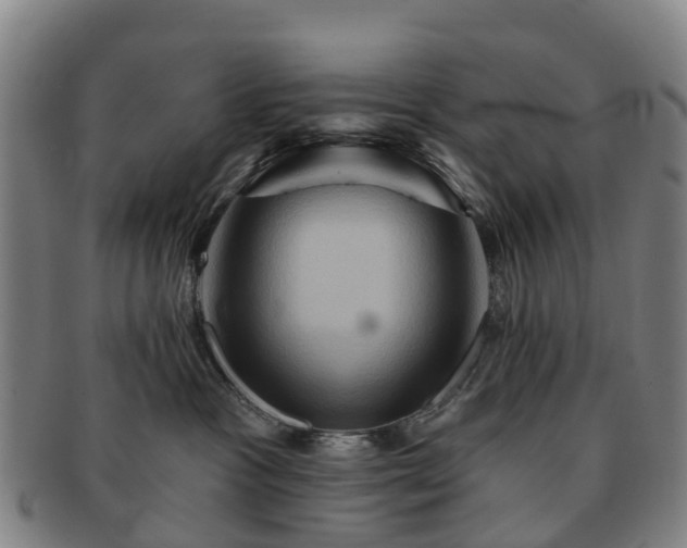 X0000091590333200708271249