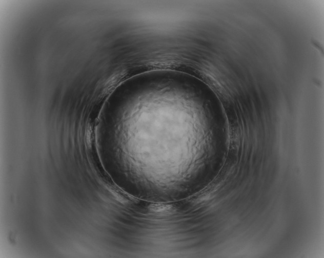 X0000091590334200708271249