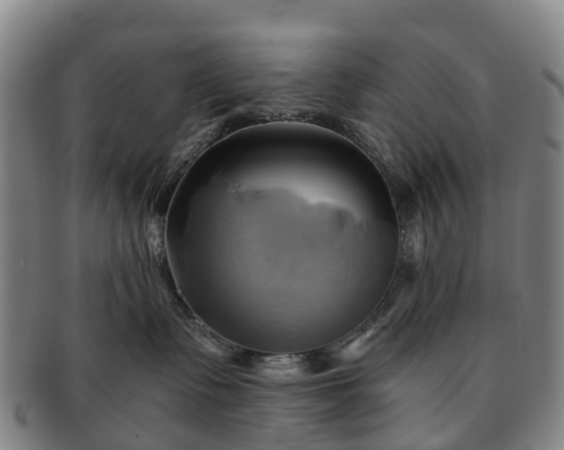 X0000091590335200708271249