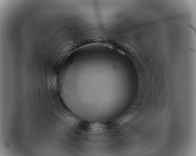 X0000091590336200708271249