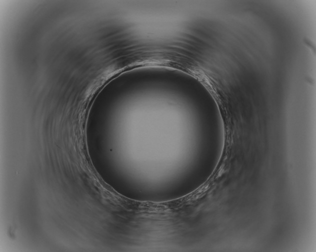 X0000091590337200708271248
