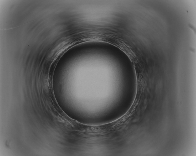 X0000091590338200708271248