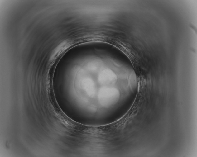 X0000091590339200708271248