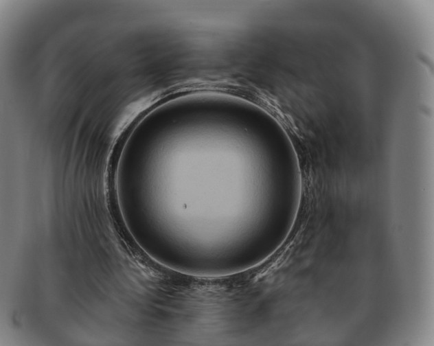 X0000091590340200708271248