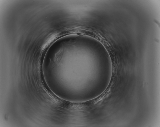 X0000091590341200708271248