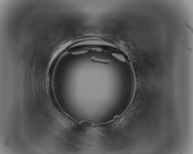 X0000091590342200708271248