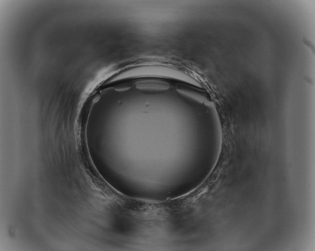 X0000091590343200708271248