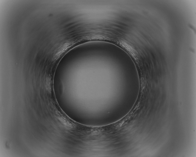 X0000091590345200708271248