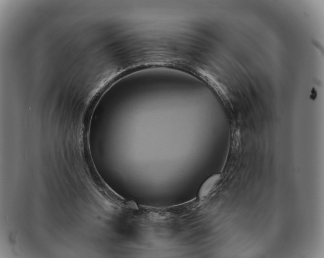 X0000091590346200708271248