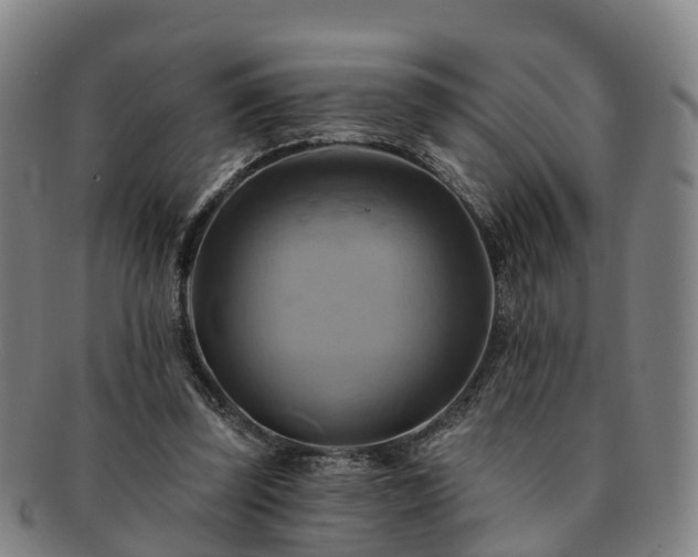 X0000091590347200708271248