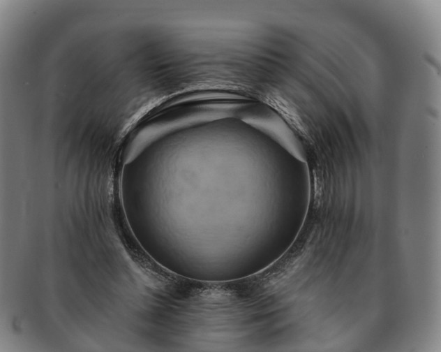 X0000091590348200708271248