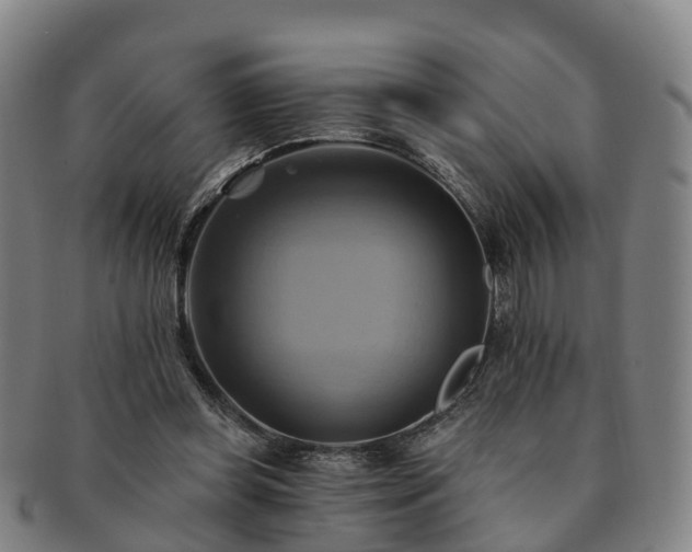 X0000091590349200708271248