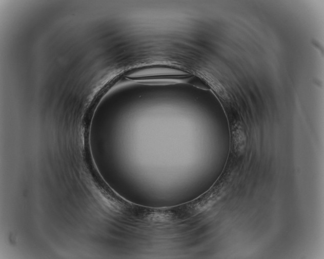 X0000091590350200708271248