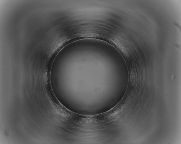X0000091590351200708271248