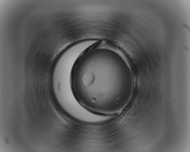 X0000091590352200708271248