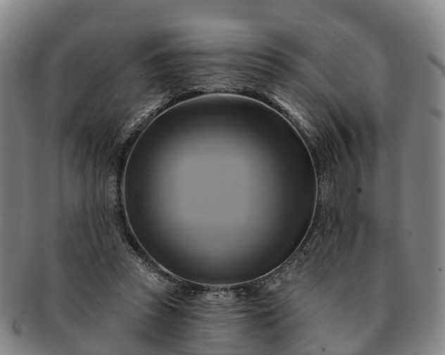 X0000091590353200708271248
