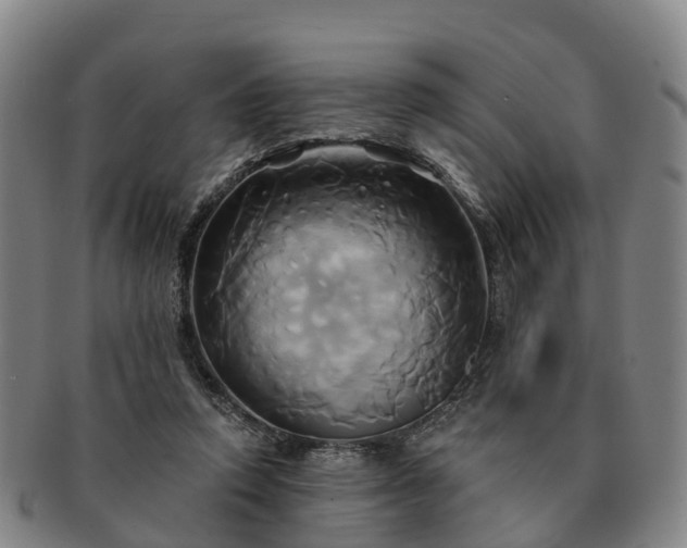 X0000091590354200708271248