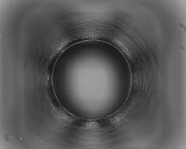 X0000091590355200708271248