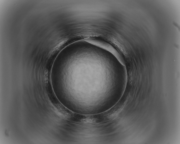 X0000091590356200708271248
