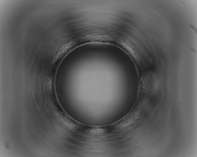 X0000091590357200708271248