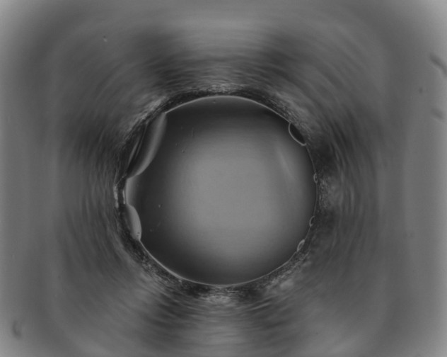 X0000091590358200708271248