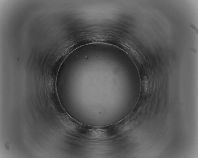 X0000091590359200708271248