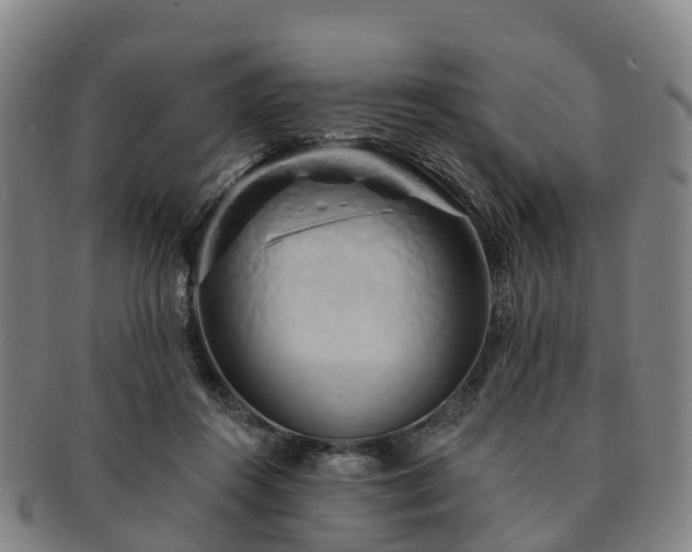 X0000091590360200708271249