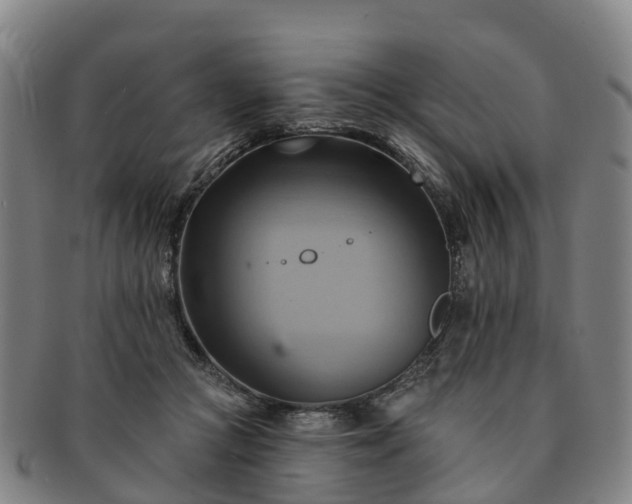X0000091590361200708271249