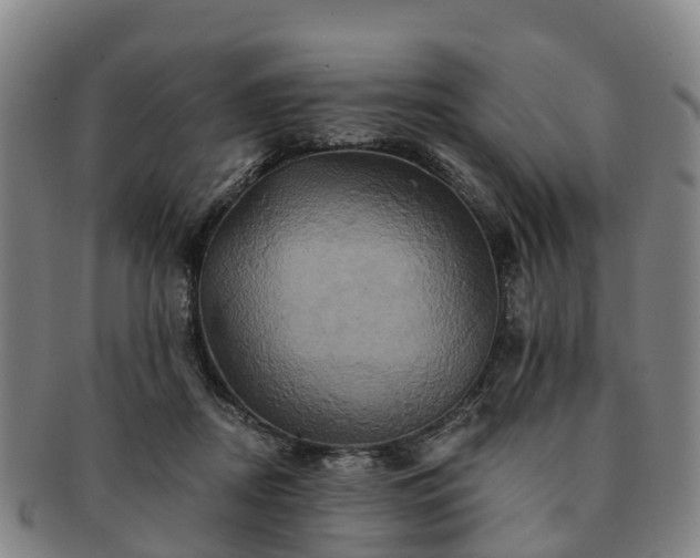 X0000091590362200708271249